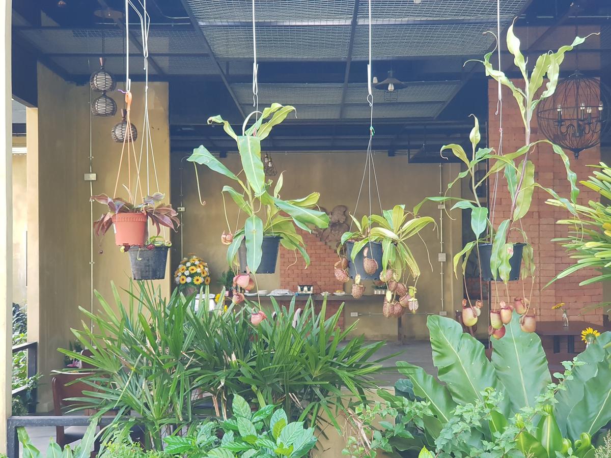 Palm Pran Resort Pran Buri Dış mekan fotoğraf